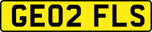 GE02FLS