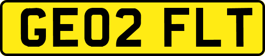 GE02FLT