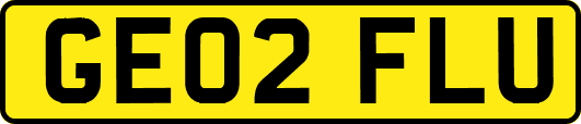 GE02FLU
