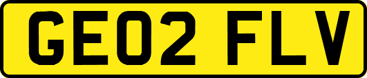 GE02FLV