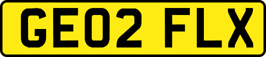 GE02FLX