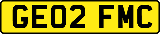 GE02FMC