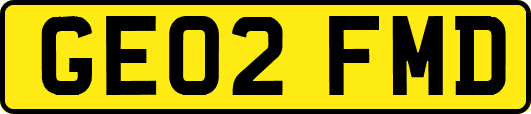 GE02FMD
