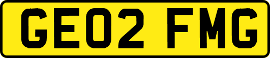GE02FMG