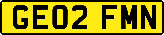 GE02FMN