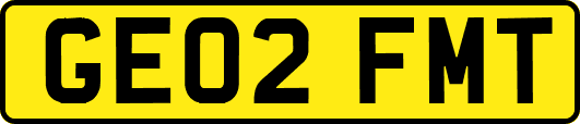 GE02FMT