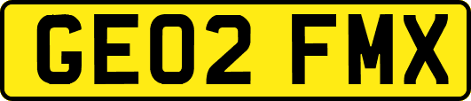 GE02FMX