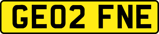 GE02FNE