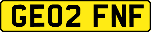 GE02FNF