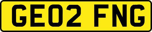 GE02FNG
