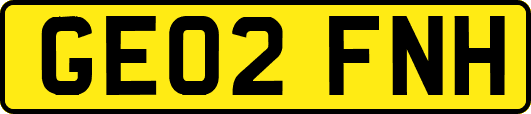 GE02FNH