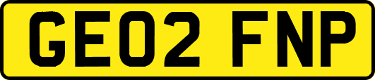 GE02FNP