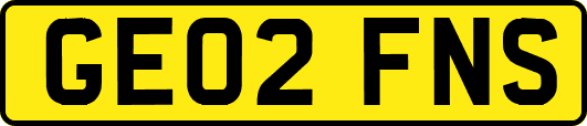 GE02FNS