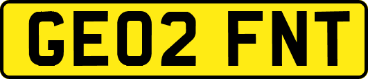 GE02FNT