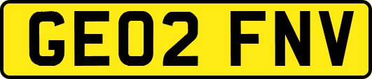 GE02FNV