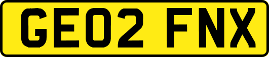 GE02FNX
