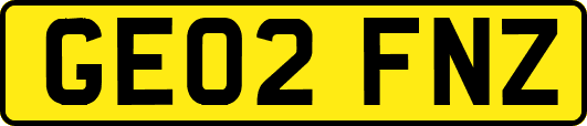 GE02FNZ