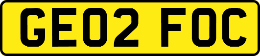 GE02FOC
