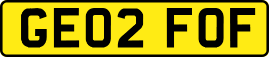 GE02FOF