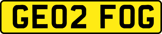 GE02FOG