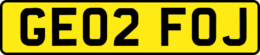GE02FOJ