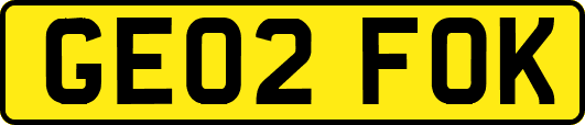 GE02FOK