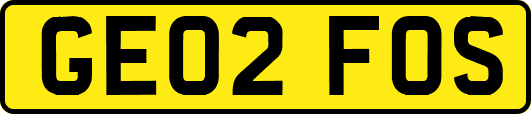 GE02FOS