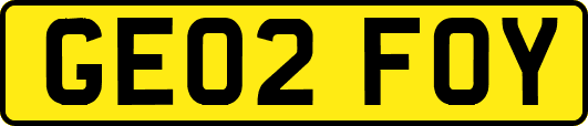 GE02FOY