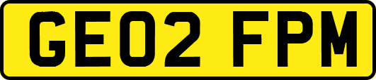 GE02FPM