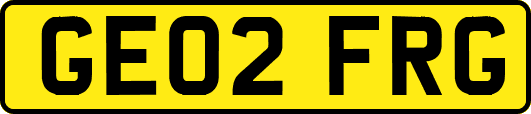 GE02FRG