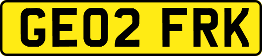 GE02FRK