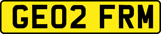 GE02FRM