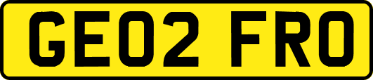 GE02FRO