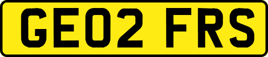 GE02FRS