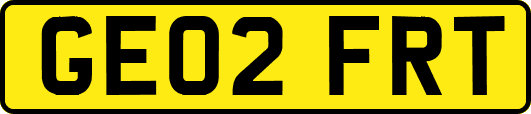 GE02FRT