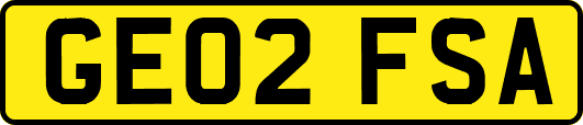 GE02FSA