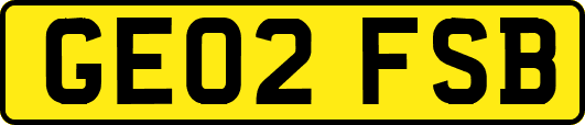GE02FSB