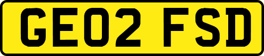 GE02FSD