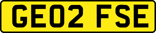 GE02FSE