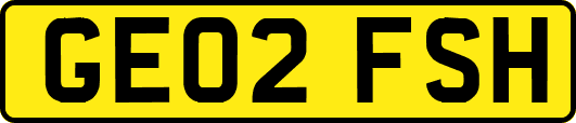 GE02FSH