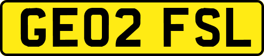 GE02FSL