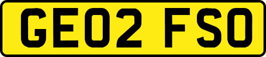 GE02FSO