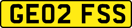 GE02FSS