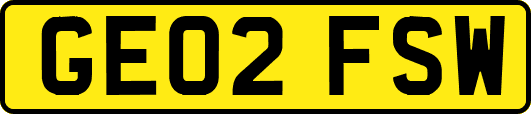 GE02FSW
