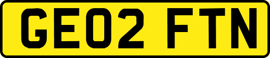 GE02FTN