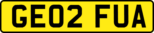 GE02FUA