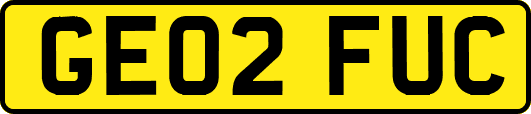 GE02FUC