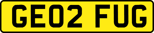GE02FUG
