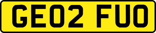 GE02FUO