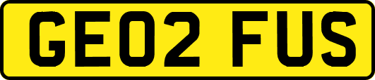 GE02FUS
